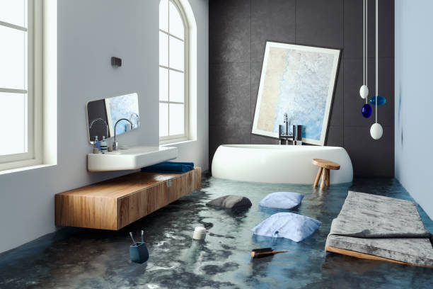 Best Carpet water damage restoration  in Harvey, IL
