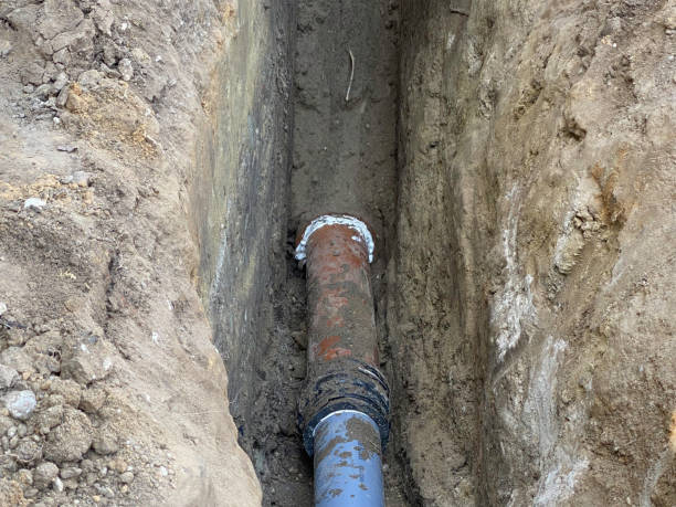 Best Flood restoration services  in Harvey, IL