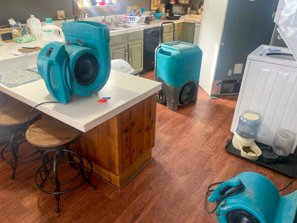 Best Basement water damage restoration  in Harvey, IL